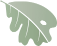 OAEC Nursery