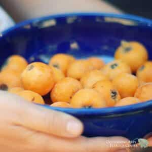 Loquat