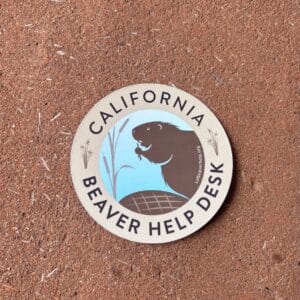 Beaver Help Desk Sticker